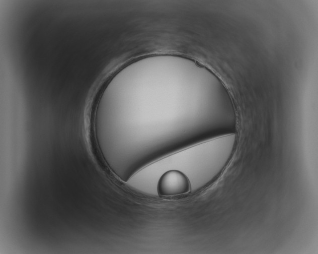 X0000102400055200808011004