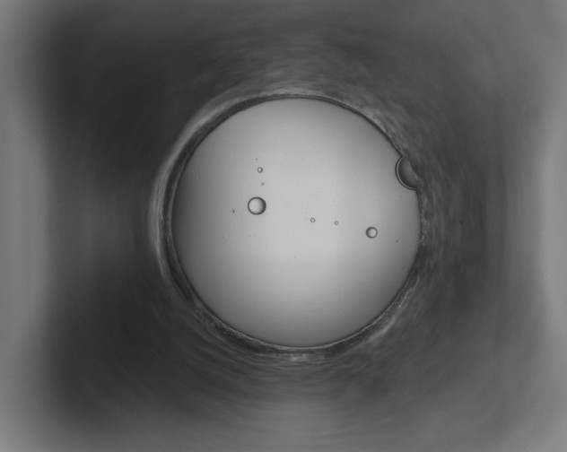 X0000102400056200808011004