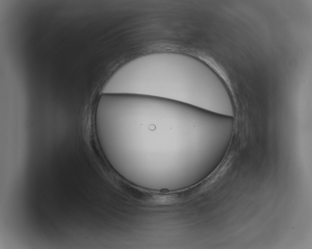 X0000102400057200808011004