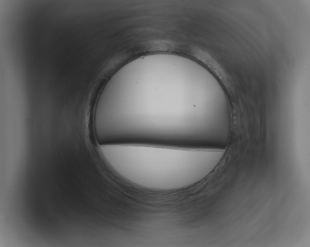 X0000102400058200808011004