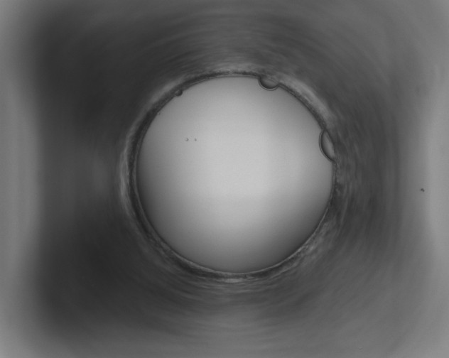 X0000102400060200808011004