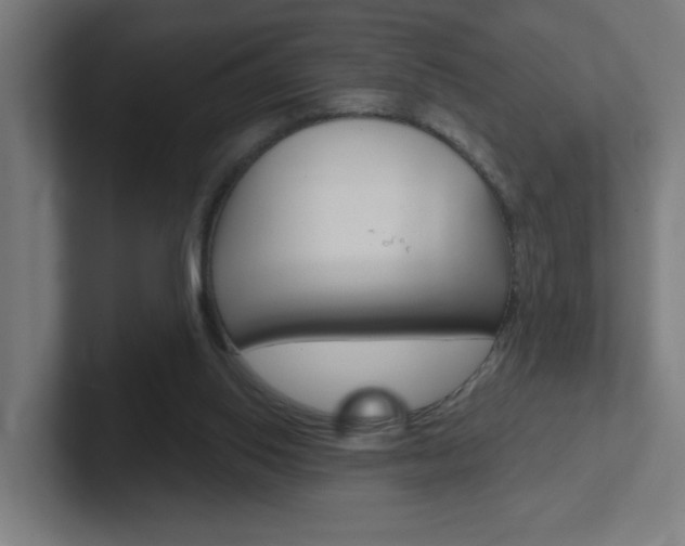 X0000102400062200808011004