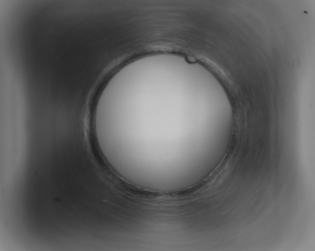 X0000102400064200808011004