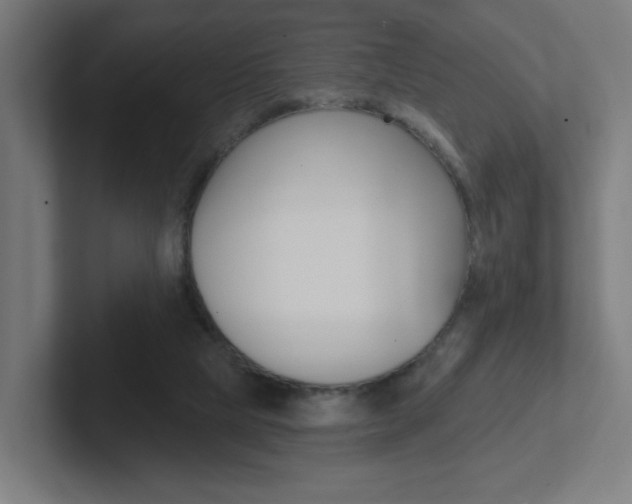 X0000102400065200808011004
