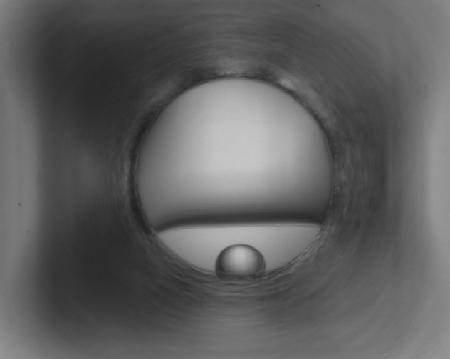 X0000102400066200808011004