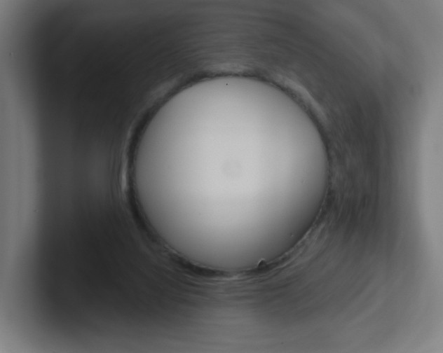 X0000102400068200808011004