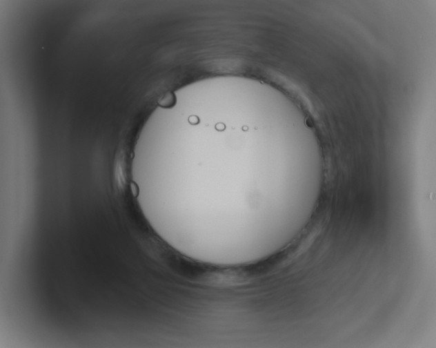 X0000102400069200808011004