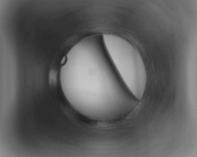 X0000102400070200808011004