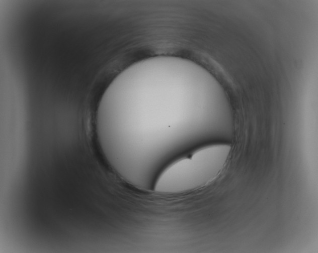 X0000102400074200808011004