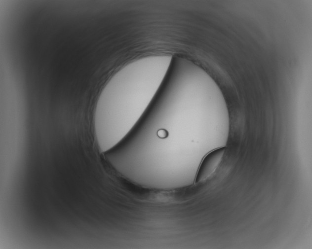 X0000102400078200808011004