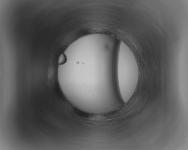 X0000102400079200808011004