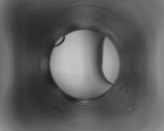 X0000102400083200808011004