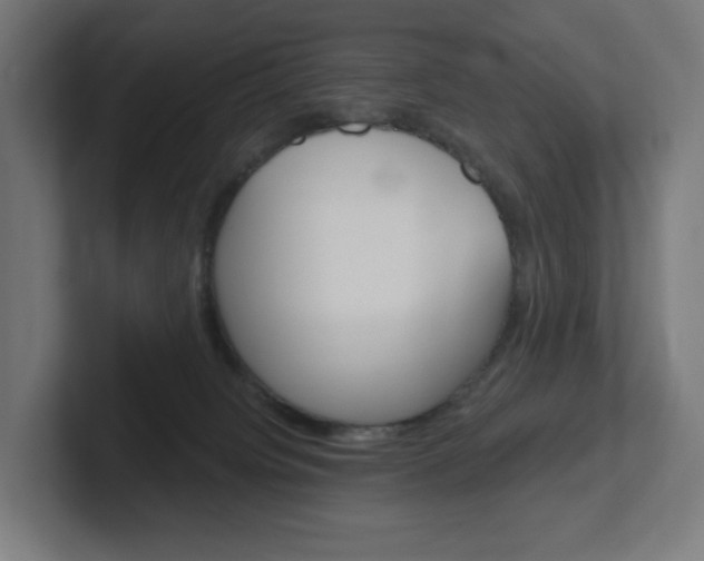X0000102400084200808011004