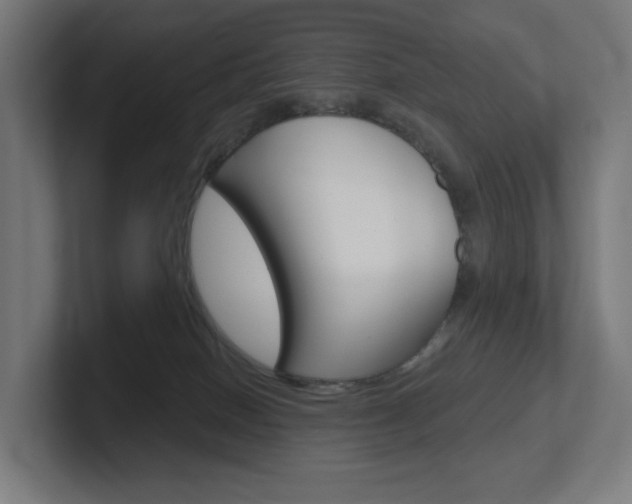 X0000102400086200808011004