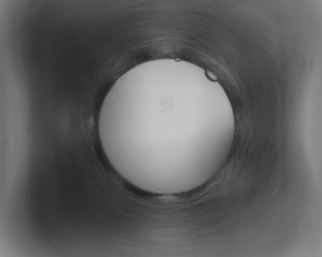 X0000102400087200808011004