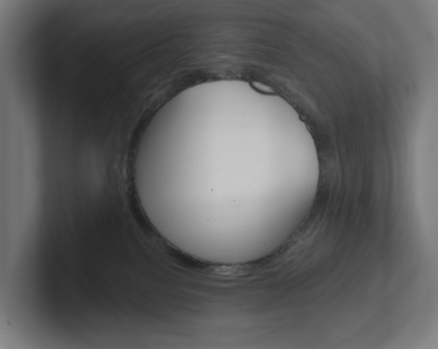 X0000102400088200808011004