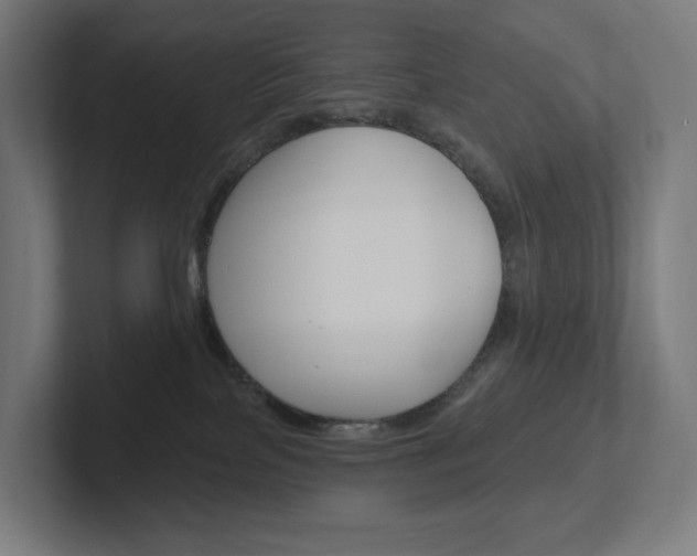 X0000102400089200808011004
