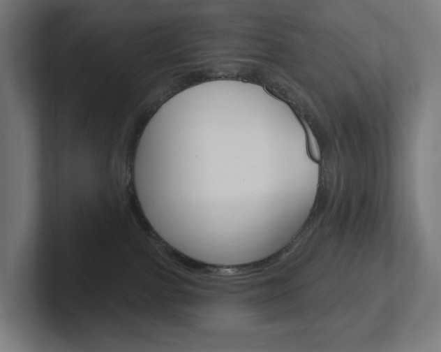 X0000102400091200808011004