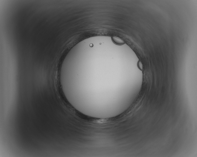 X0000102400092200808011004