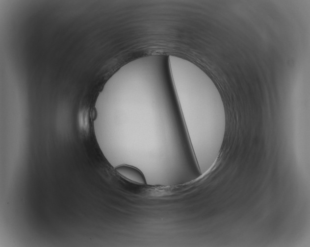 X0000102400094200808011004