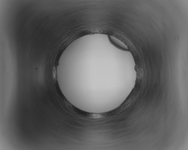 X0000102400095200808011004