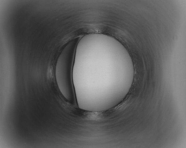 X0000102400096200808011004