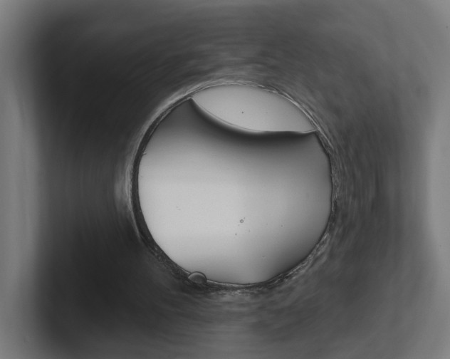 X0000102400100200808011004