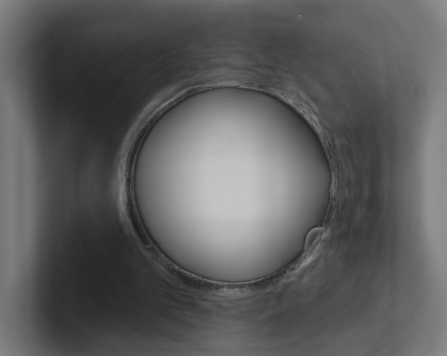 X0000102400101200808011004