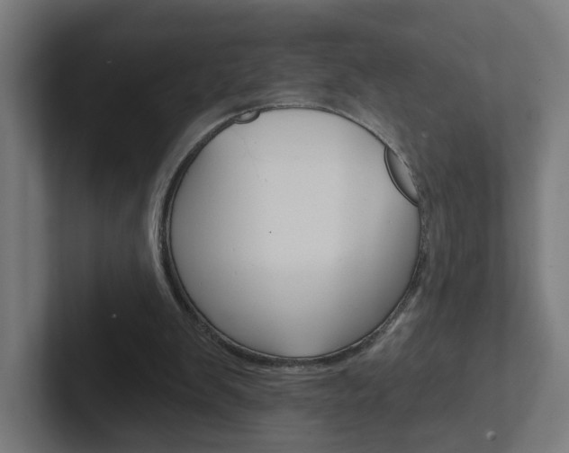 X0000102400103200808011004
