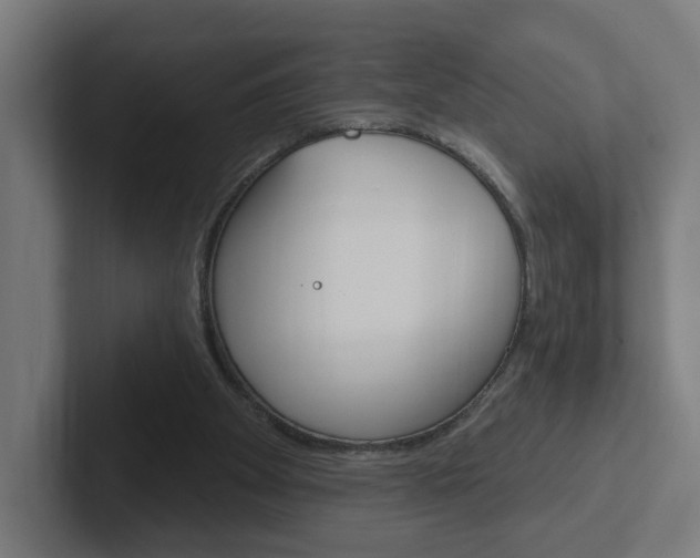 X0000102400105200808011004