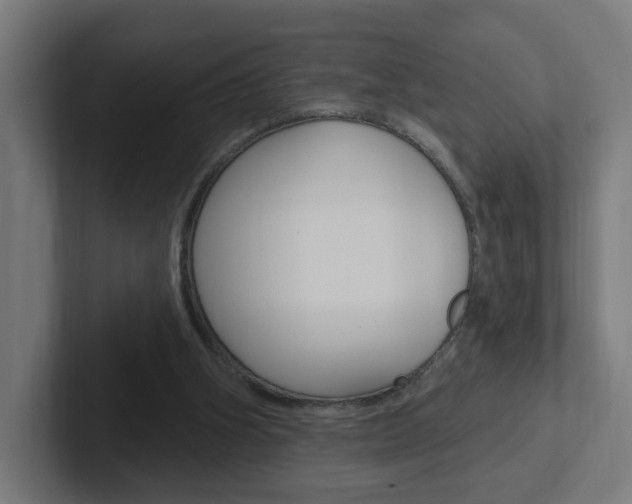 X0000102400106200808011004