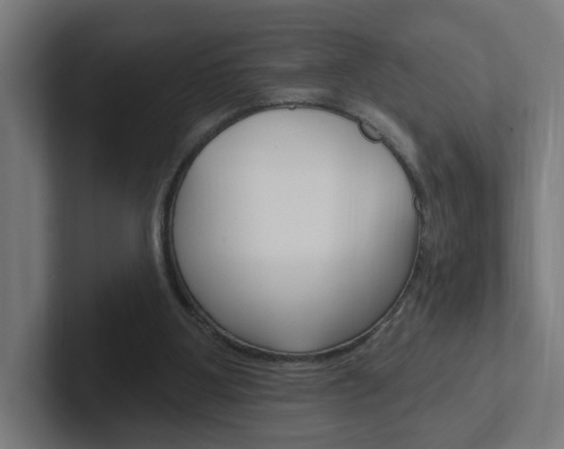 X0000102400107200808011004