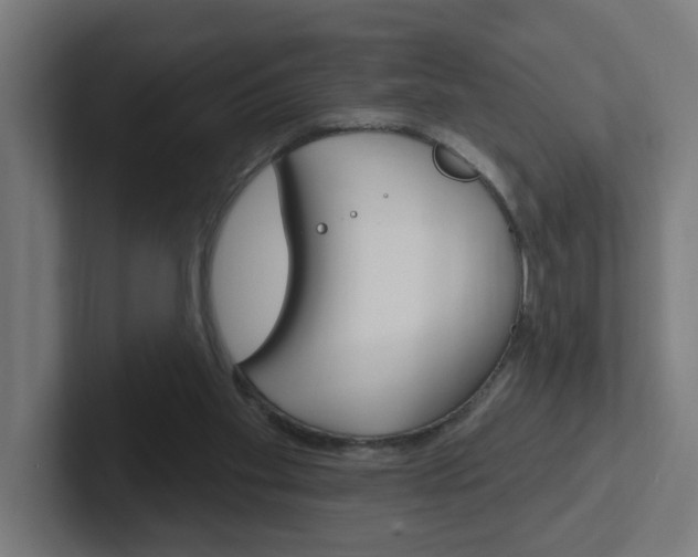X0000102400109200808011004