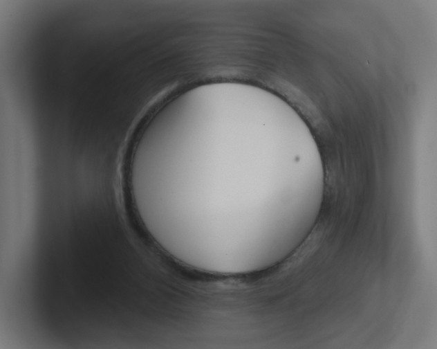 X0000102400112200808011004
