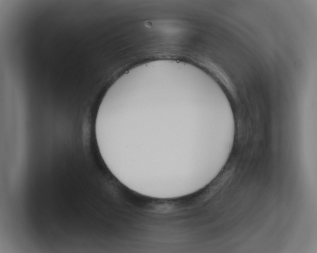 X0000102400113200808011004