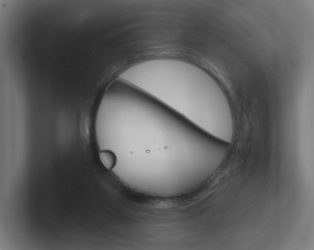 X0000102400115200808011004