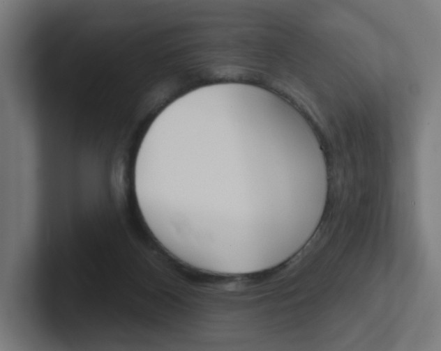 X0000102400116200808011004