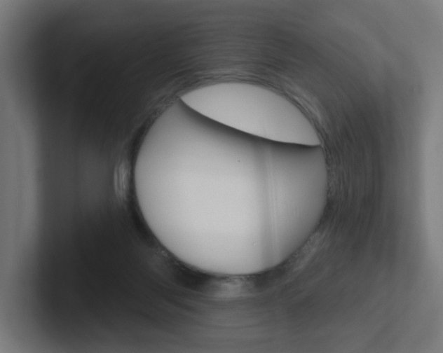 X0000102400118200808011004