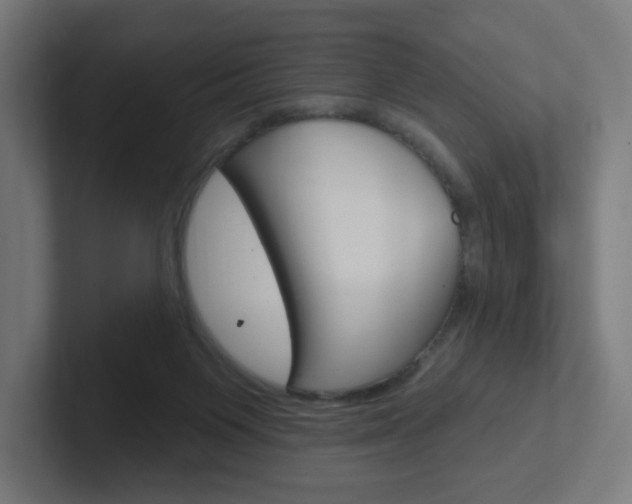 X0000102400119200808011003
