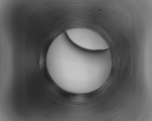 X0000102400124200808011003