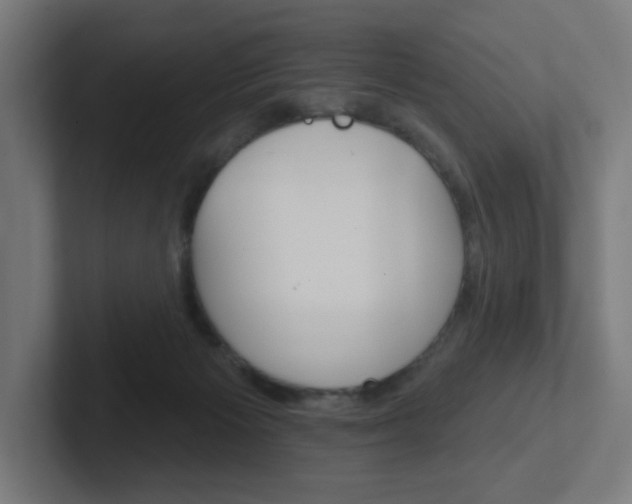 X0000102400125200808011003