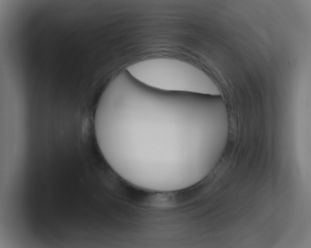 X0000102400126200808011003