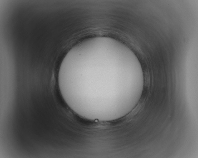 X0000102400128200808011003