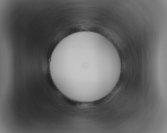 X0000102400129200808011003