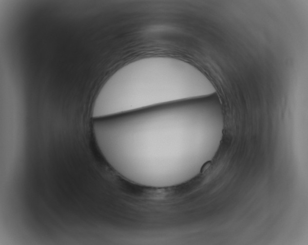 X0000102400131200808011003