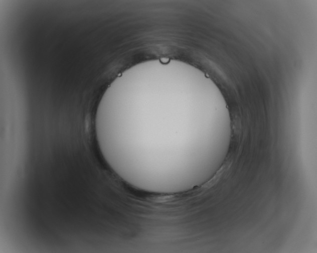 X0000102400132200808011003