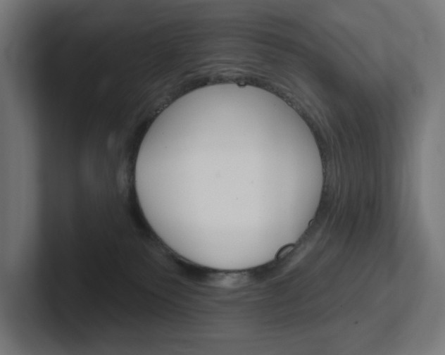 X0000102400135200808011003