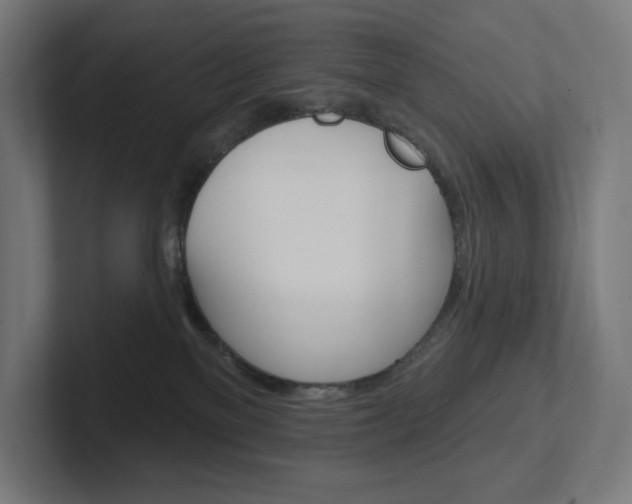 X0000102400137200808011003