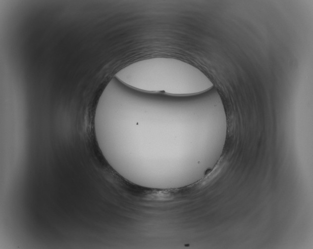 X0000102400140200808011003