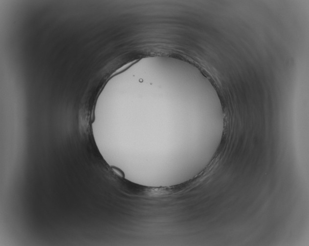 X0000102400141200808011003